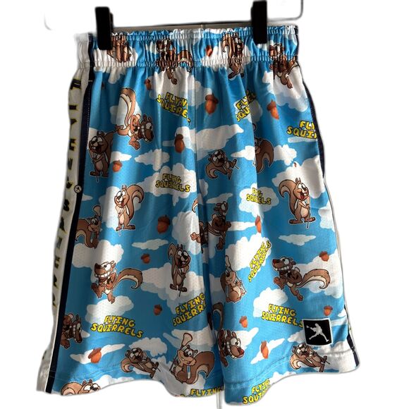 Lacrosse Unlimited FLYING SQUIRRELS Youth Size LG Drawstring Waist Shorts #F - Picture 1 of 10